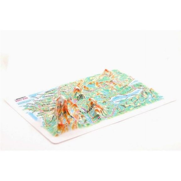 New York State Raised Relief Map, Rubberized Foam Backing - Souvenir Size