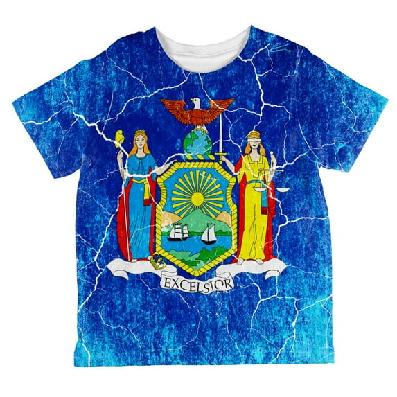 New York Vintage Distressed State Flag All Over Toddler T Shirt Multi 4T