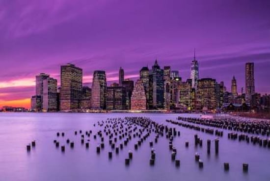 New York Violet Sunset Canvas Art - JG Damlow (20 x 28)