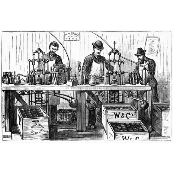 New York Wine Industry. Nwerner And Company Employees Bottling Champagne In New York City. Engraving American 1878.