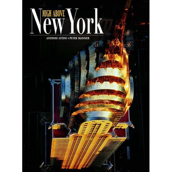Pre-Owned High Above New York (World from the Air) 9788854002098 Used