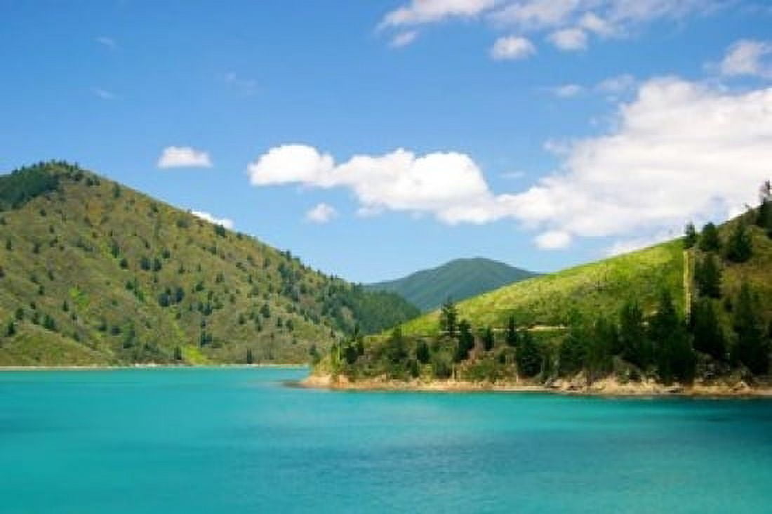 New Zealand Cook Straight Picton harbor Canvas Art - Micah Wright DanitaDelimont (36 x 24)