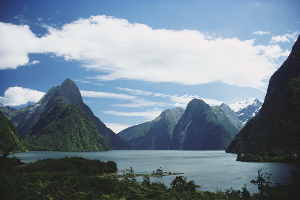 New Zealand Fiordlands National Park Milford Sound Canvas Art - Mary Van de Ven Design Pics (38 x 24)