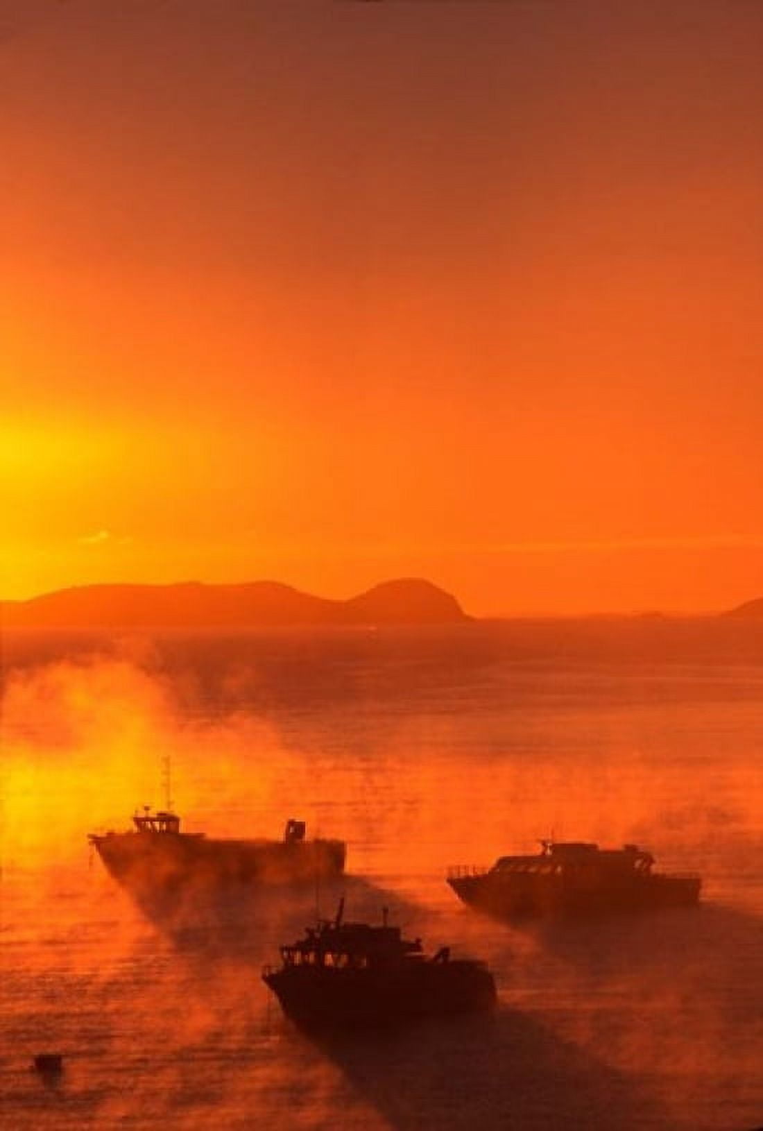 New Zealand Fishing Boats at sunrise Stewart Island Canvas Art - David Wall DanitaDelimont (11 x 17)