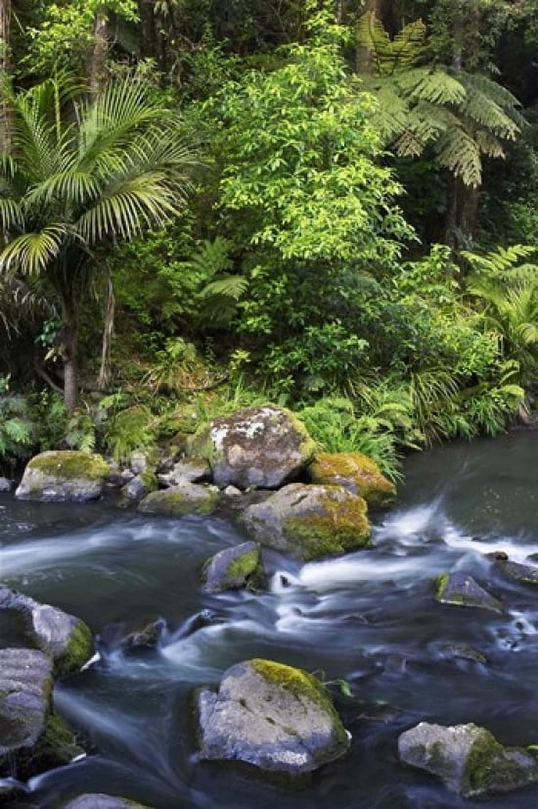 New Zealand Hatea River Whangarei Falls Northland Canvas Art - David Wall DanitaDelimont (11 x 17)
