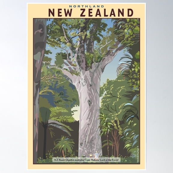 New Zealand Kauri Tree - Tane Mahuta Poster Wall Art, Modern Wall Decor, 8x12 UNFRAMED