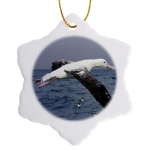 3drose, New Zealand, Marlborough, Gibsons Albatross Bird - Au02 Dwa6895 - David Wall, 3 inch Snowflake Porcelain Ornament