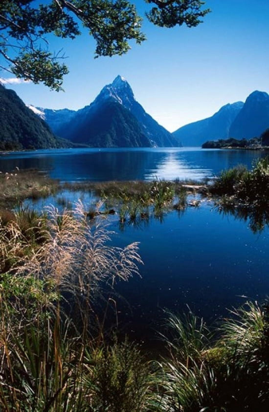 New Zealand Mitre Peak Milford Sound Fiordland NP Canvas Art - David Wall DanitaDelimont (11 x 17)