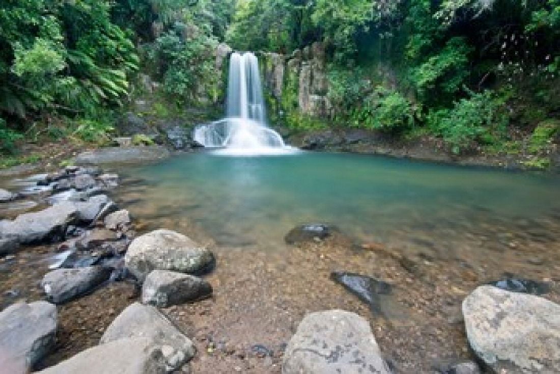 New Zealand North Island Coromandel Peninsula Waiau Falls Canvas Art - Rob Tilley DanitaDelimont (37 x 25)