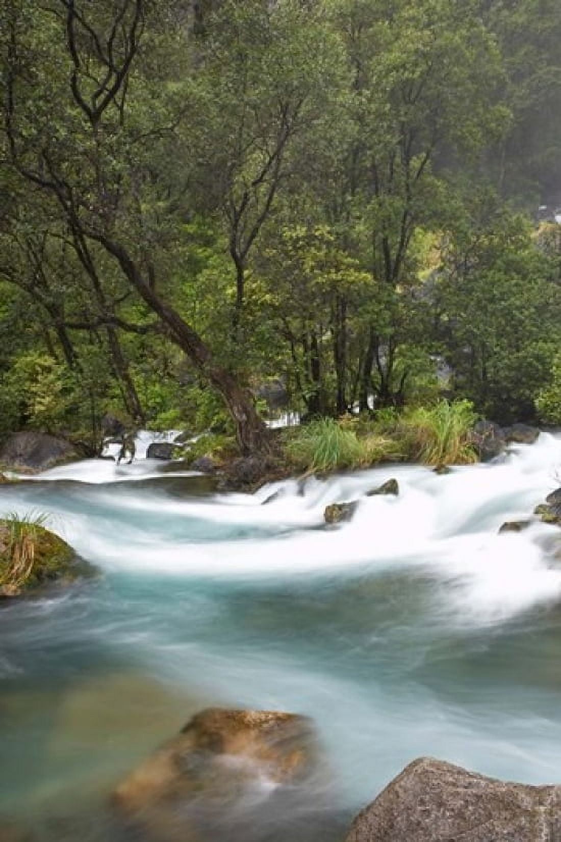 New Zealand North Island Rapids on Tarawera River Canvas Art - David Wall DanitaDelimont (23 x 34)