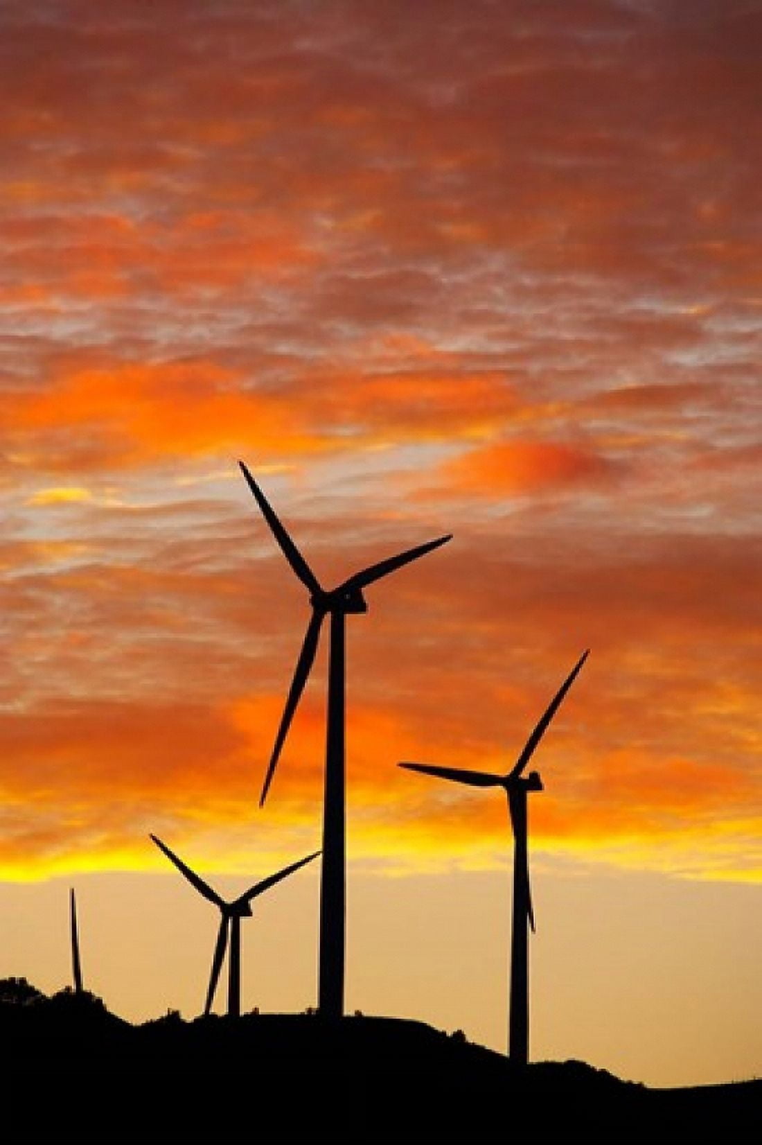 New Zealand North Island Te Apiti Wind Farm Energy Canvas Art - David Wall DanitaDelimont (23 x 34)