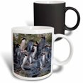 thumbnail image 1 of 3drose, New Zealand, Snares Islands, the Snares. Snares Crested Penguin., 11oz Magic Transforming Mug, 1 of 7