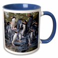 thumbnail image 1 of 3drose, New Zealand, Snares Islands, the Snares. Snares Crested Penguin., 15oz Two-tone Blue Mug, 1 of 6