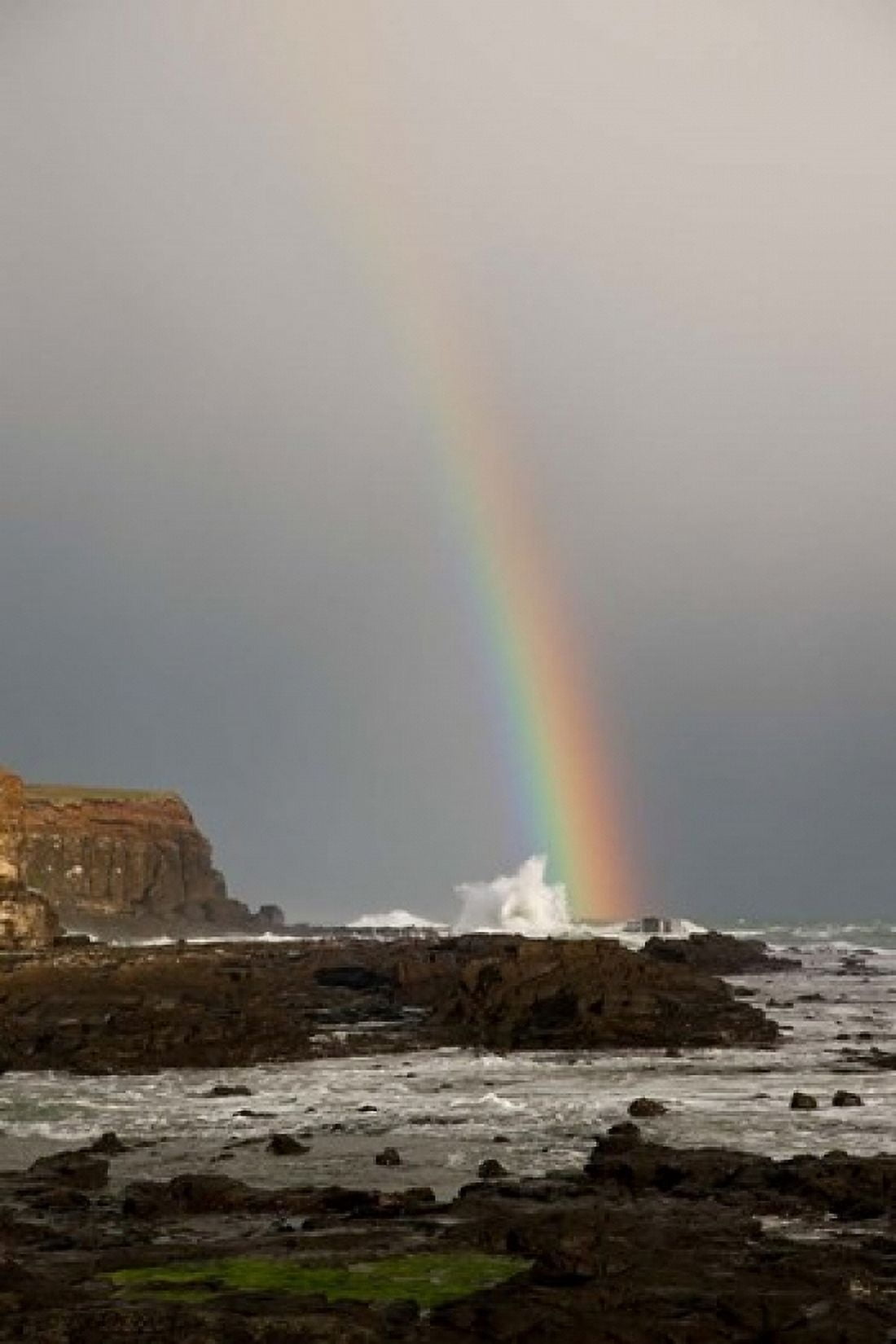 New Zealand South Island A rainbow arcs over Curio Bay Canvas Art - Jaynes Gallery DanitaDelimont (24 x 36)