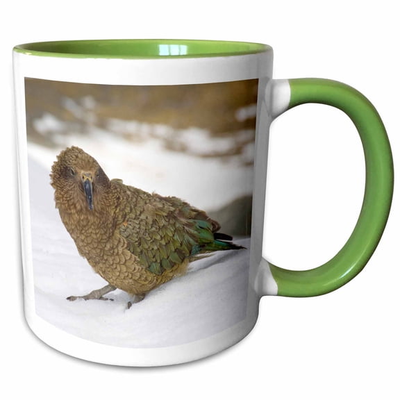 3drose, New Zealand, South Island, Arrowsmith, Kea Bird-au02 Fno0440 - Fredrik Norrsell, 11oz Two-tone Green Mug