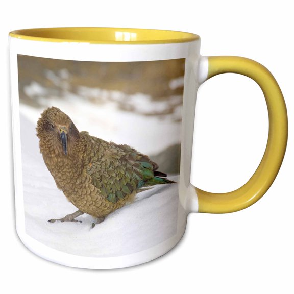 3drose, New Zealand, South Island, Arrowsmith, Kea Bird-au02 Fno0440 - Fredrik Norrsell, 11oz Two-tone Yellow Mug