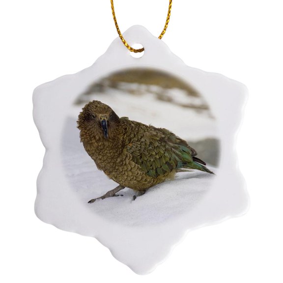 3drose, New Zealand, South Island, Arrowsmith, Kea Bird-au02 Fno0440 - Fredrik Norrsell, 3 inch Snowflake Porcelain Ornament