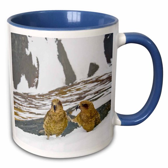 3drose, New Zealand, South Island, Arrowsmith, Kea Birds-au02 Fno0442 - Fredrik Norrsell, 11oz Two-tone Blue Mug