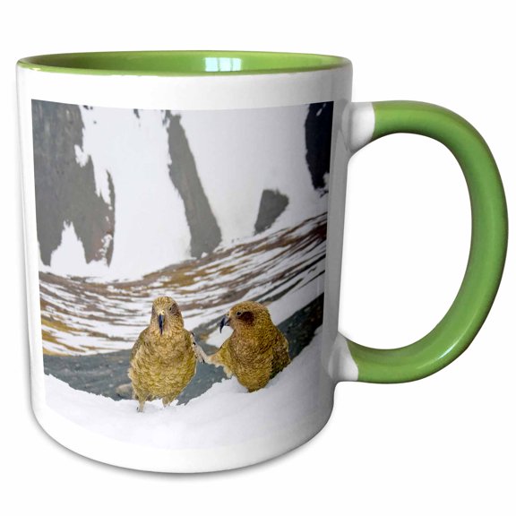 3drose, New Zealand, South Island, Arrowsmith, Kea Birds-au02 Fno0442 - Fredrik Norrsell, 11oz Two-tone Green Mug