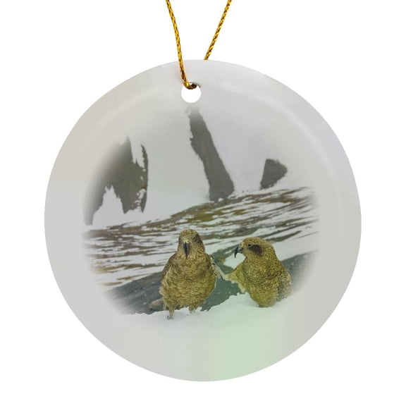 3drose, New Zealand, South Island, Arrowsmith, Kea Birds-au02 Fno0442 - Fredrik Norrsell, Circle Porcelain Ornament