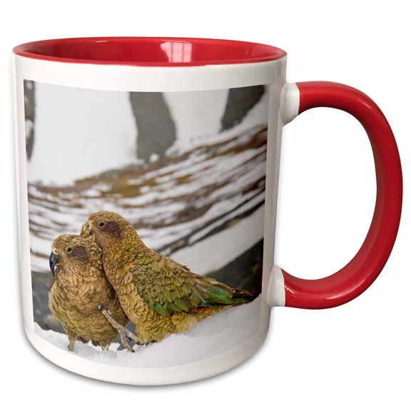3drose, New Zealand, South Island, Arrowsmith, Kea Birds-au02 Fno0446 - Fredrik Norrsell, 11oz Two-tone Red Mug