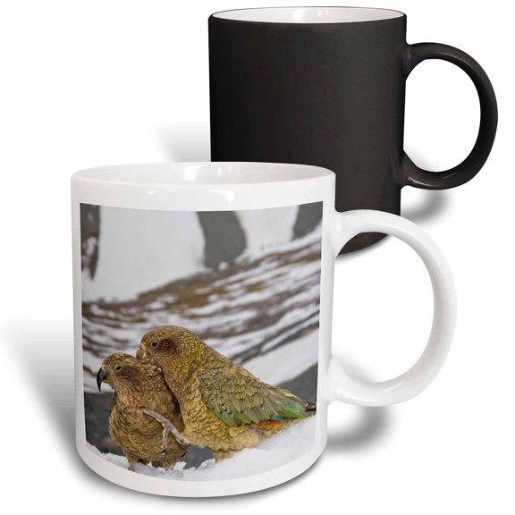 3drose, New Zealand, South Island, Arrowsmith, Kea Birds-au02 Fno0447 - Fredrik Norrsell, 11oz Magic Transforming Mug