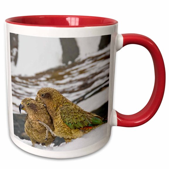 3drose, New Zealand, South Island, Arrowsmith, Kea Birds-au02 Fno0447 - Fredrik Norrsell, 11oz Two-tone Red Mug