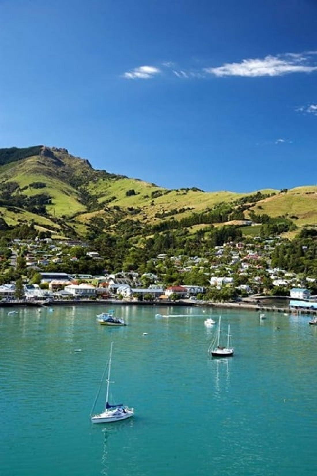 New Zealand South Island Canterbury Akaroa Harbor Canvas Art - David Wall DanitaDelimont (11 x 17)