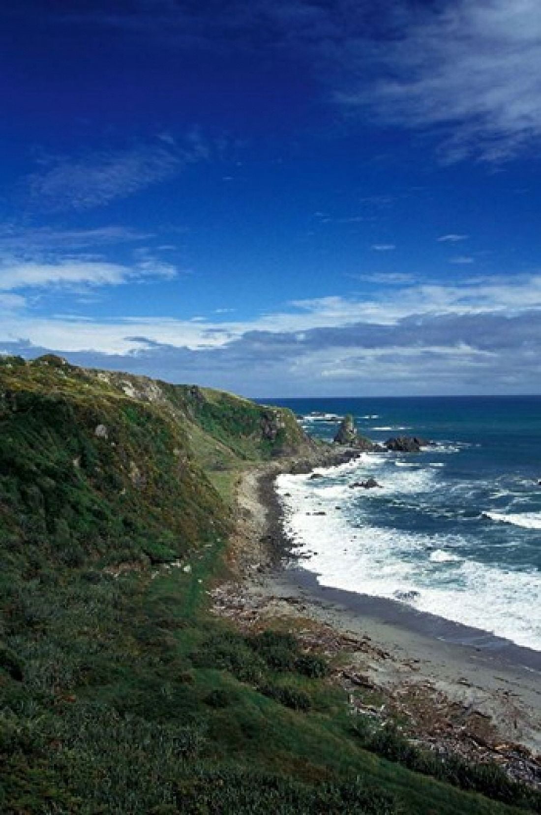 New Zealand South Island Cape Foulwind coastline Canvas Art - Walter Bibikow DanitaDelimont (18 x 27)