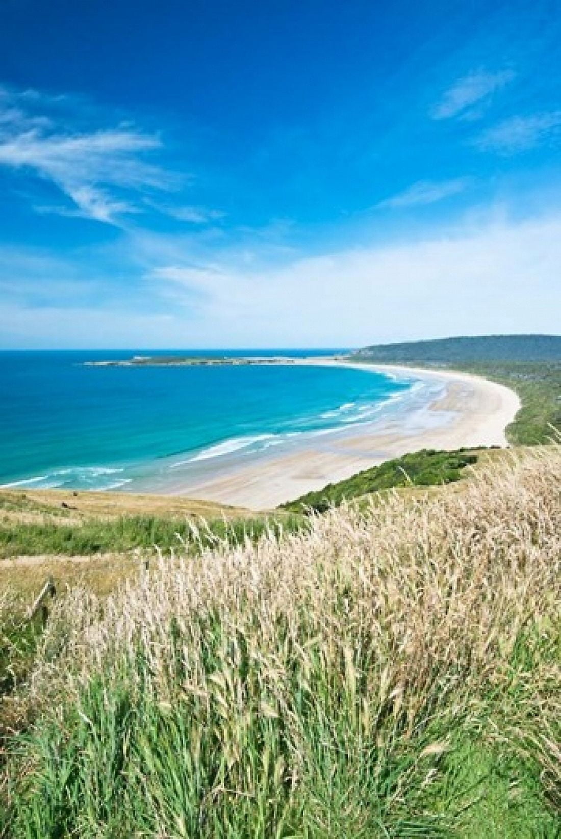 New Zealand South Island Catlins Tautuku Bay Canvas Art - Rob Tilley DanitaDelimont (18 x 24)