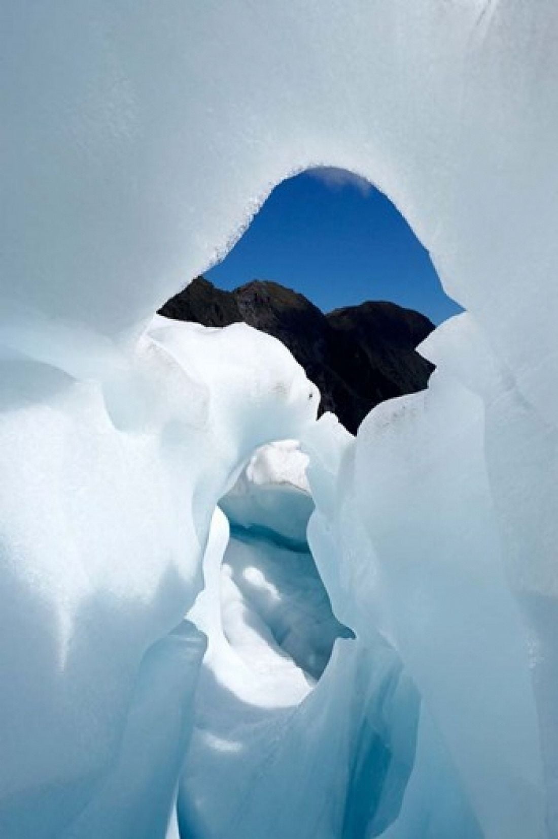 New Zealand South Island Franz Josef Glacier Ice Canvas Art - David Wall DanitaDelimont (24 x 36)