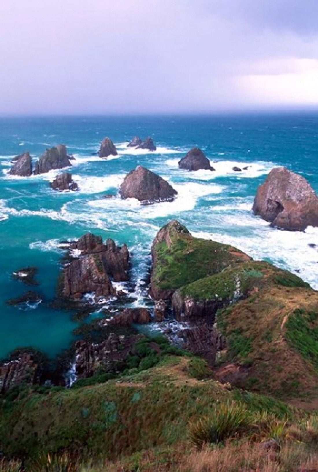 New Zealand South Island Nugget Point Canvas Art - Jay Sturdevant DanitaDelimont (18 x 27)