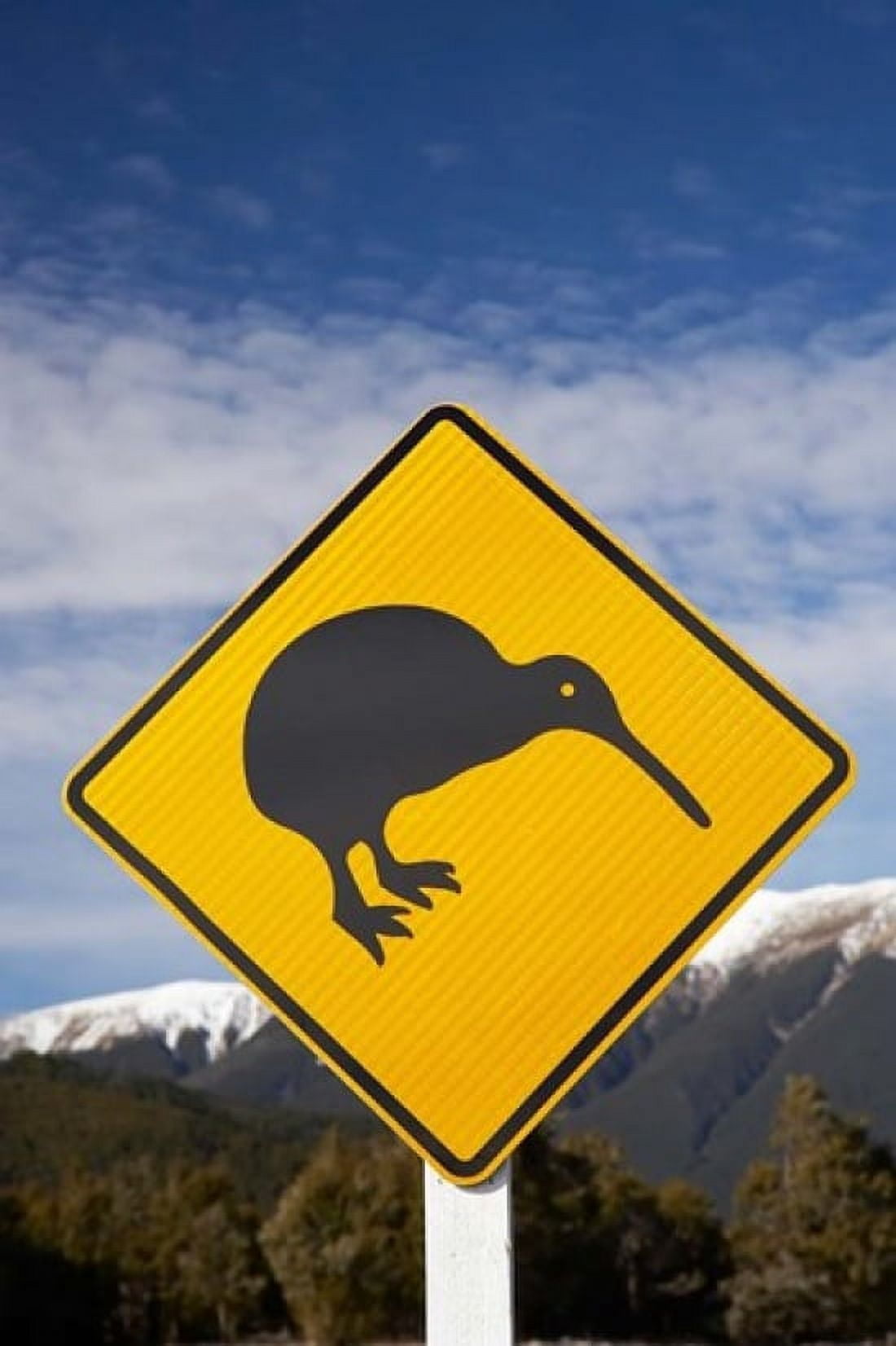 New Zealand South Island Road Sign St Arnaud Range Canvas Art - David Wall DanitaDelimont (23 x 34)