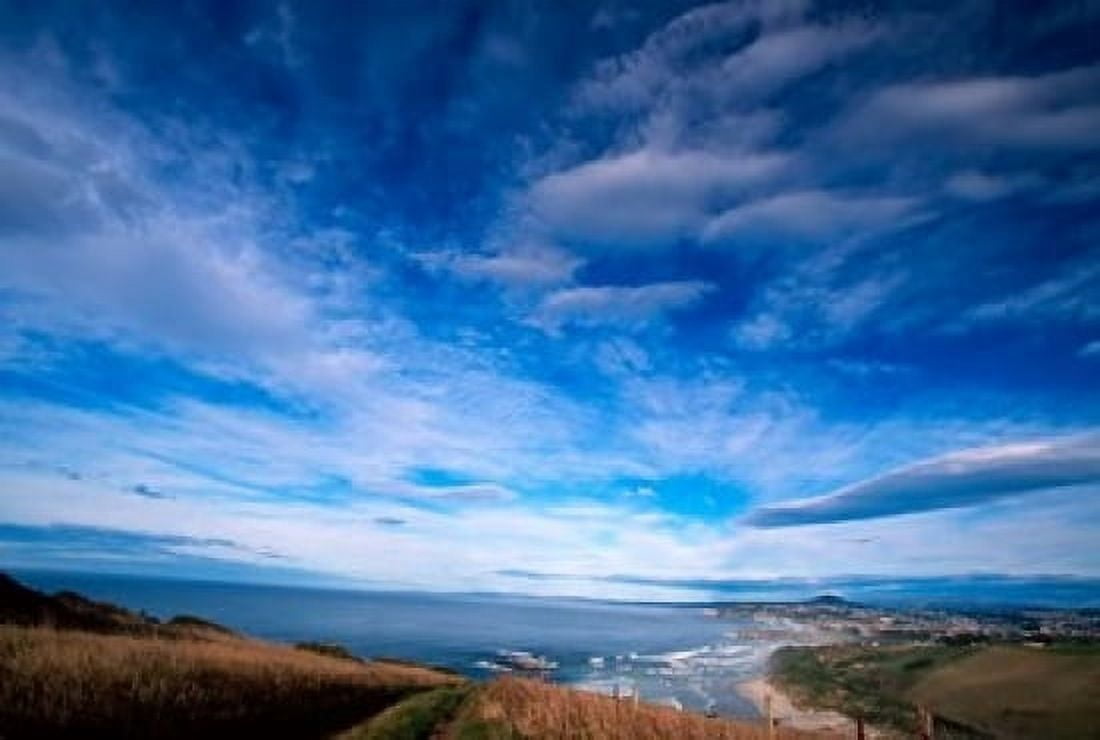 New Zealand South Island view towards Dunedin Canvas Art - Jay Sturdevant DanitaDelimont (36 x 24)
