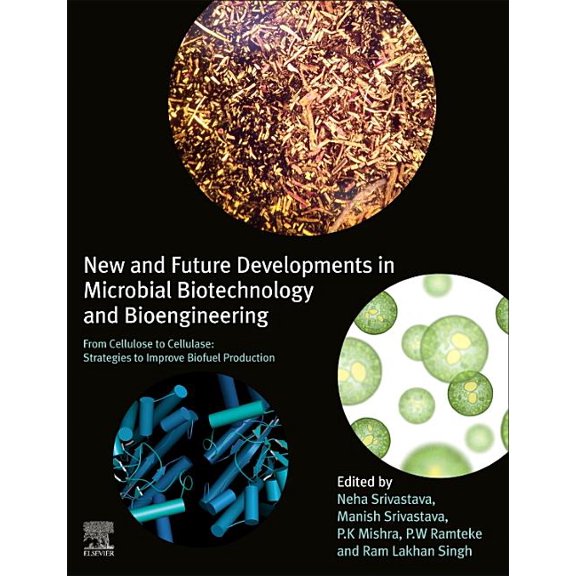 New and Future Developments in Microbial Biotechnology and Bioengineering: From Cellulose to Cellulase: Strategies to Im, (Paperback)