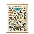thumbnail image 1 of New butterfly Poster, Handmade Vintage Poster with Wooden Frame, 1 of 4