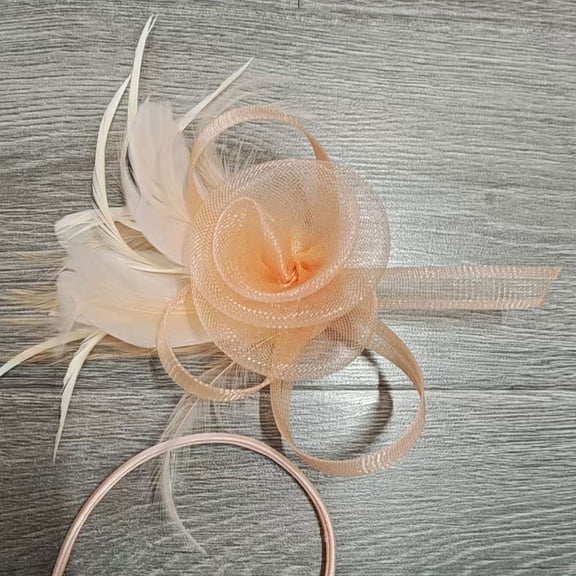 New mesh feather bridal headpiece retro elegant women's tea party top hat headband clip party performance headflower（Xianbin）