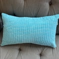 thumbnail image 1 of Set of 2 Polyester Blend soft hand feeling Pillow (With or Without Inserts), 1 of 11