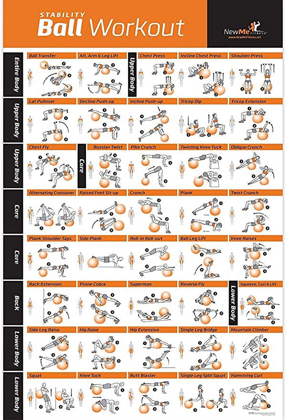 NewMe Fitness Workout Posters for Home Gym - Exercise Posters for Full Body  Workout - Core, Abs, Legs, Glutes & Upper Body Training Program 