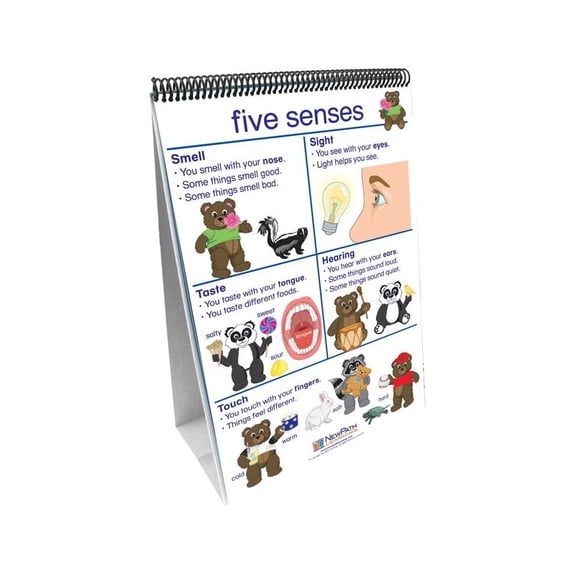 NewPath Learning All About Me Flip Chart Set - English Edition
