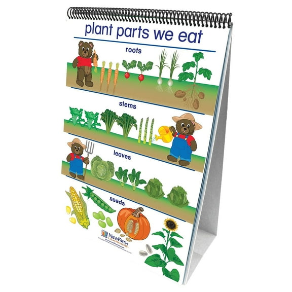 NewPath Learning Early Childhood Science Readiness Flip Charts, All About Plants