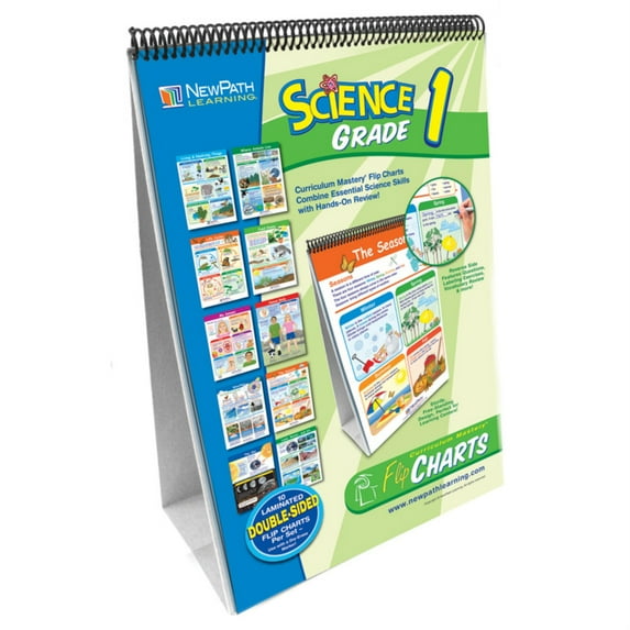 NewPath Learning Multi
