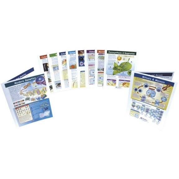 NewPath Science Visual Learning Guides, Grade 1