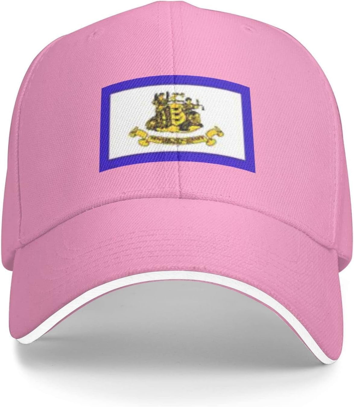 Newark New Jersey City Flag Baseball Cap Sandwich Brim Hats for Men