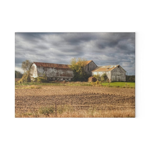 U R There Photography Newark Road Whites Rustic Farmhouse Tempered-Glass Cutting Board 8"x 11"