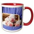 thumbnail image 1 of Newborn Bulldogs in basket, MR 11oz Two-Tone Red Mug mug-258130-5, 1 of 3