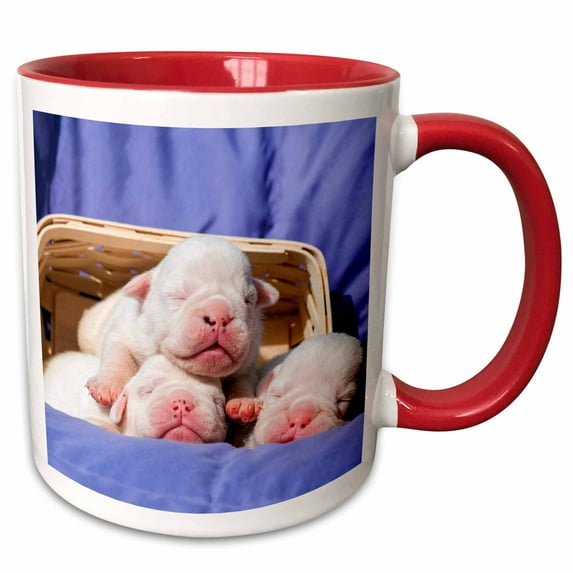 Newborn Bulldogs in basket, MR 11oz Two-Tone Red Mug mug-258130-5