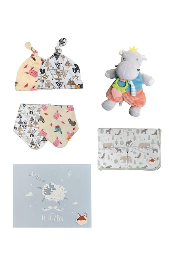 Newborn Gift Box - Blanket, 5 Pack of Socks, Bibs, Handmade Hippo Toy, and Gift Box Included