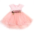 thumbnail image 1 of Newborn Girls Tutu Skirt Sleeveless Floral Ruched Princess Party Dress Summer Outfits, 1 of 6