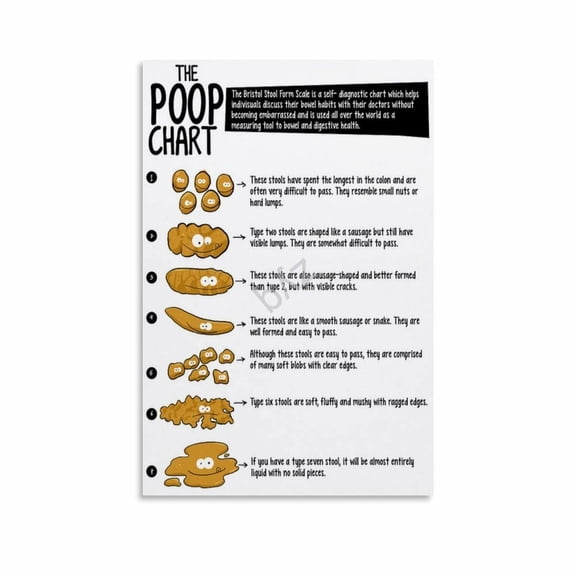 Newborn Stool Chart Poster Poop Guide for Babies Poop Colors And More (4) Canvas Painting Wall Art
